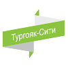 Отель Тургояк-Сити логотип